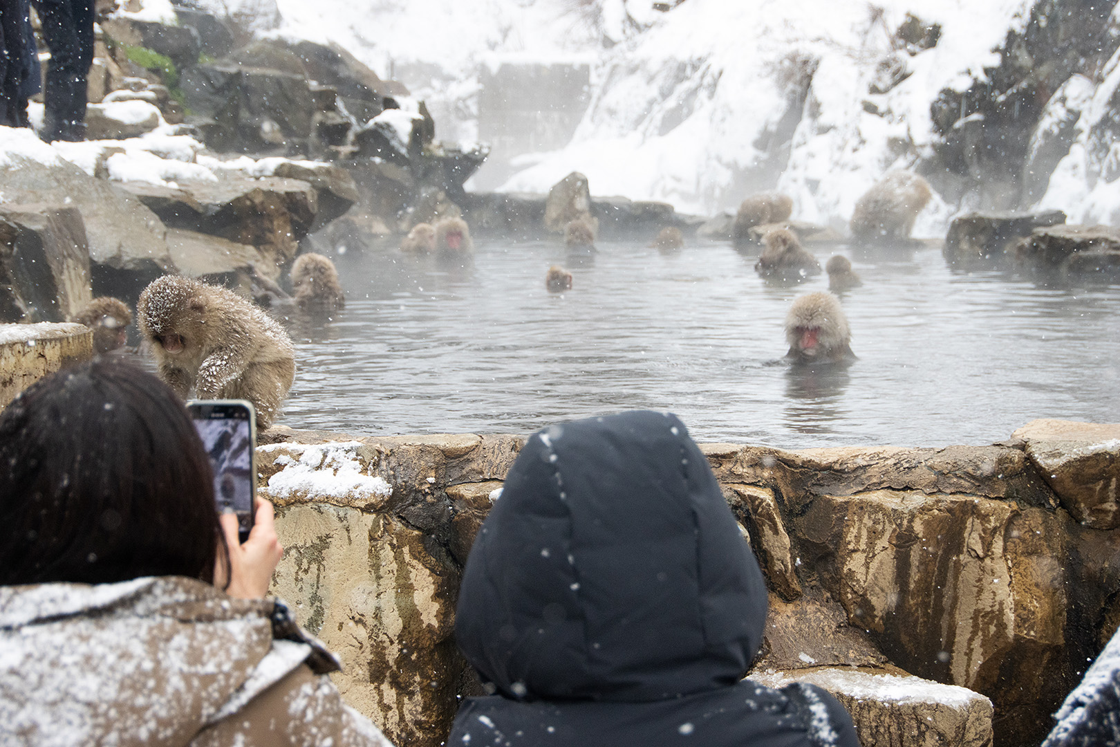 地獄谷野猿公苑